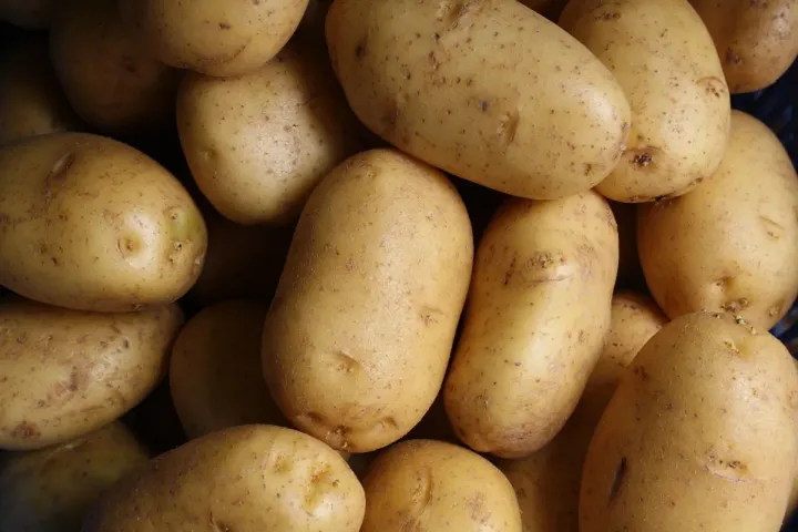 Mythes sur les pommes de terre - comment en extraire le potassium ?