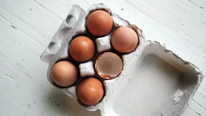 Quels aliments contiennent quelle quantité de protéines ?
