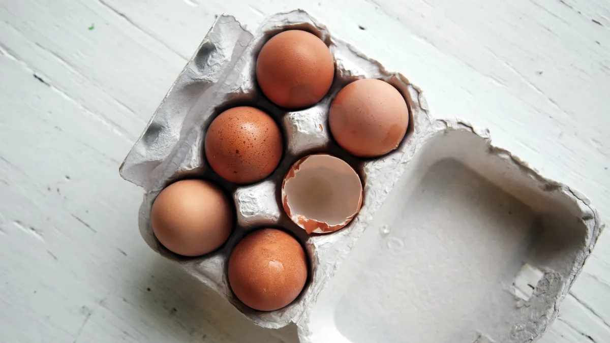 Quels aliments contiennent quelle quantité de protéines ?